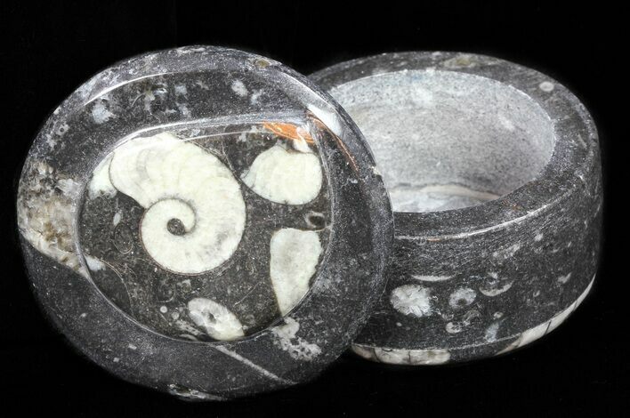 Small Fossil Goniatite Jar (Black) - Stoneware #60087